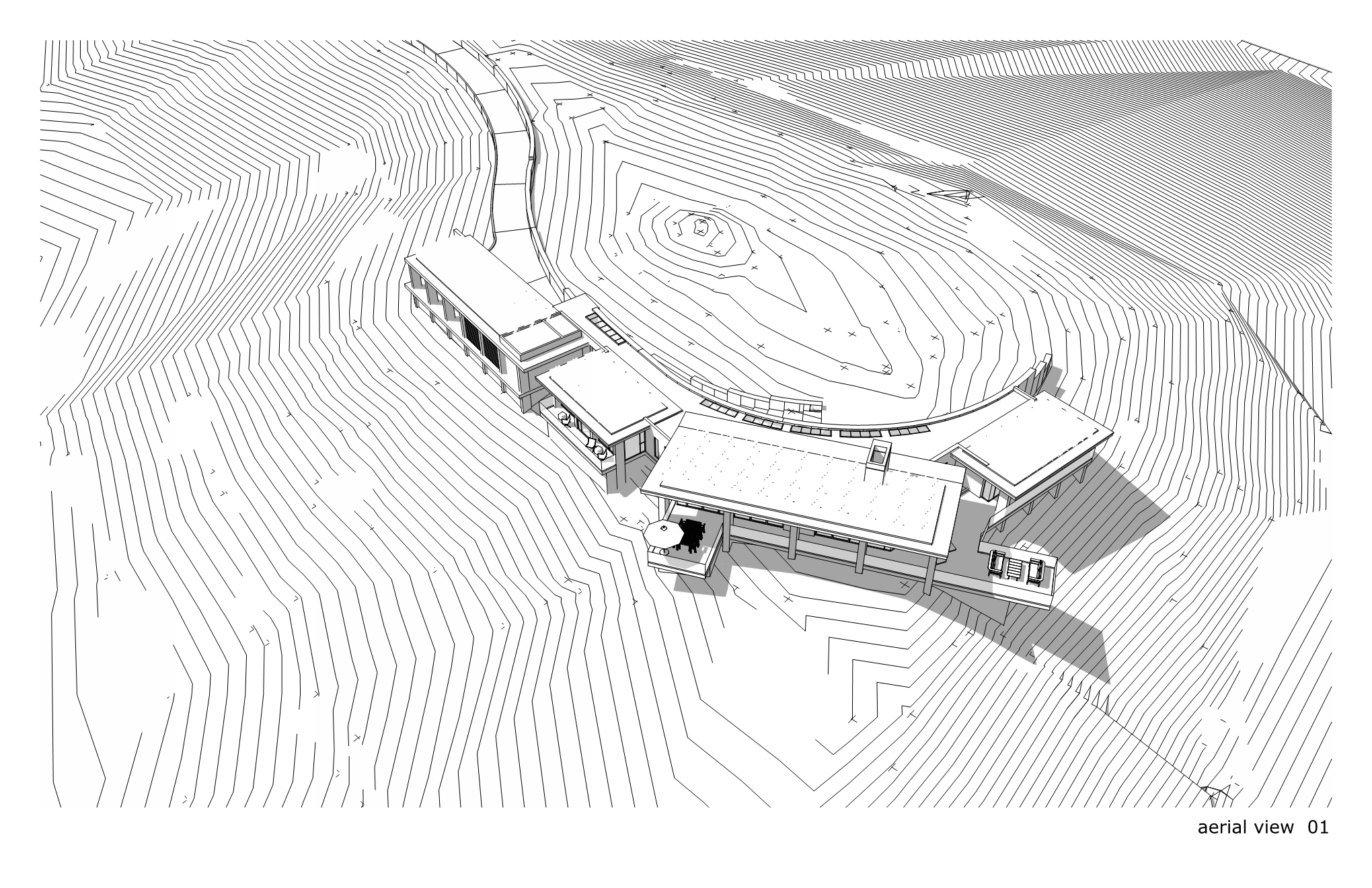 Aerial View with Topography 1