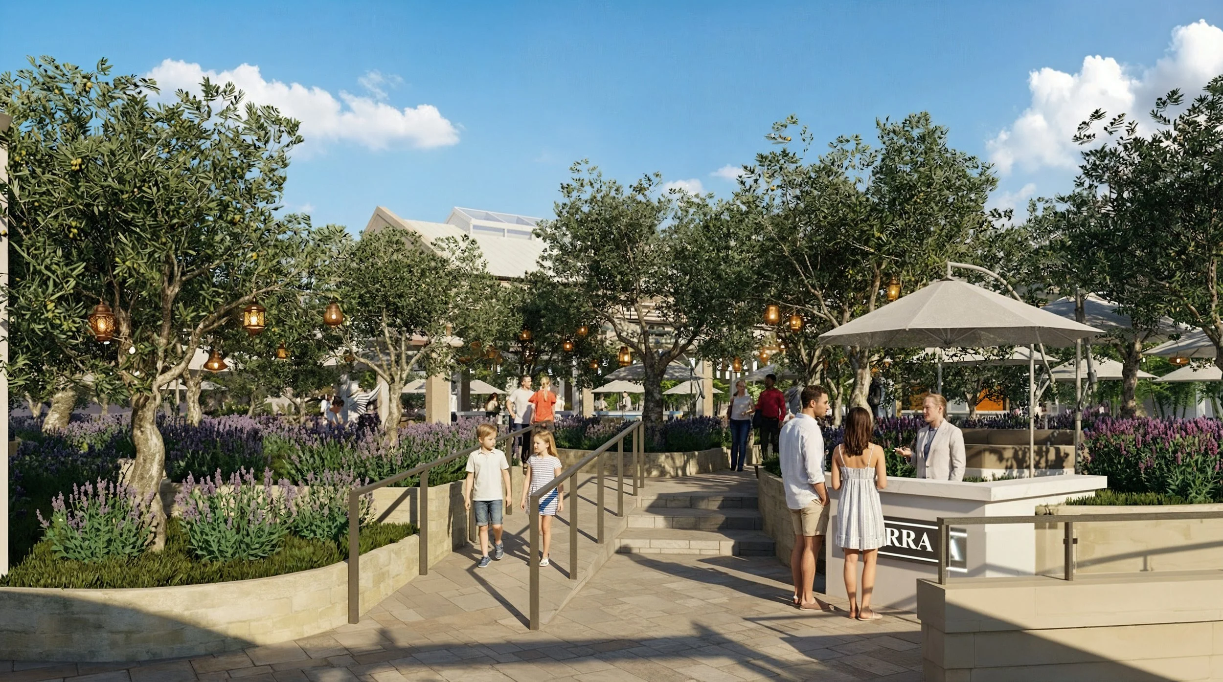 Olive Grove Walkway View