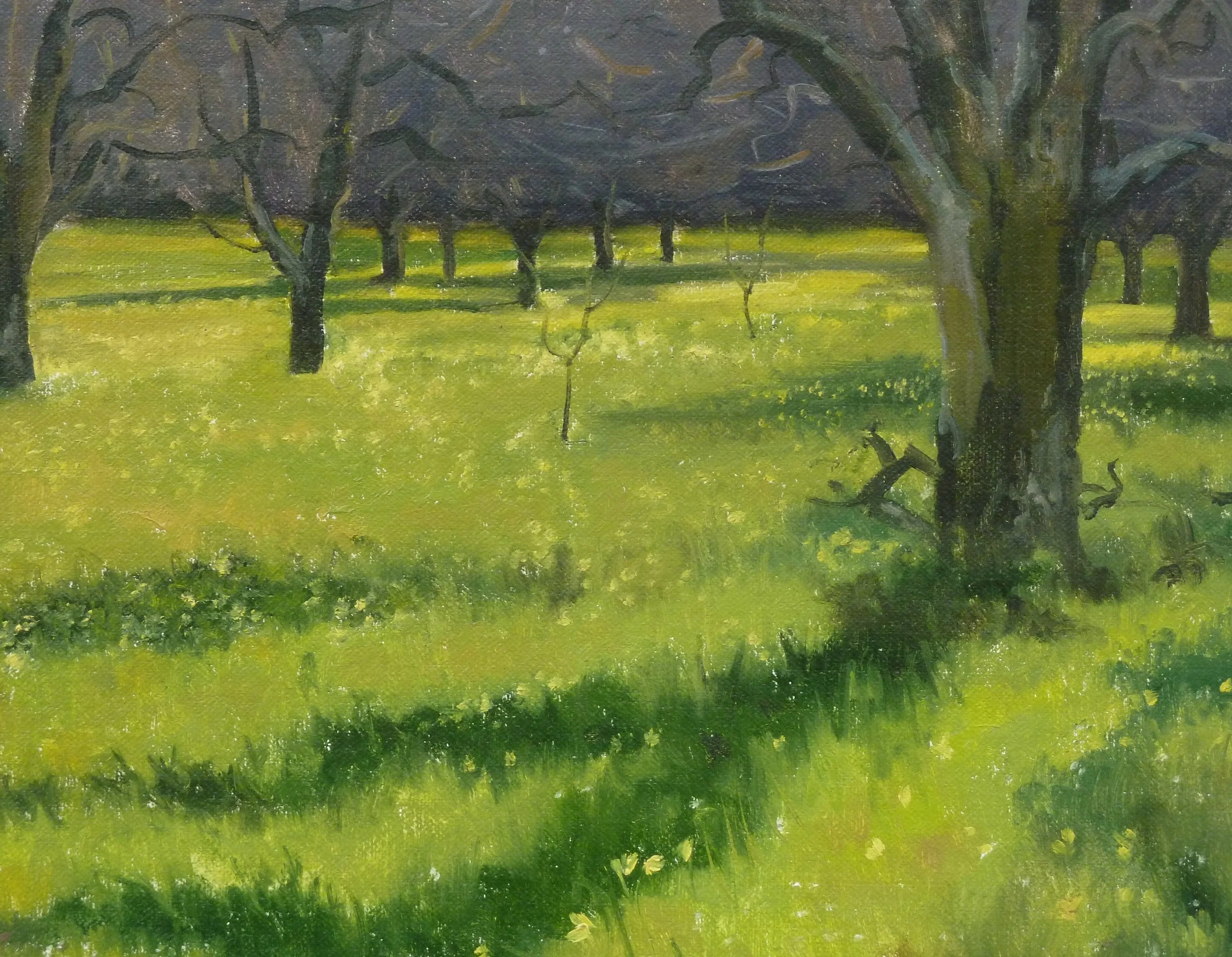 Pleasant Hill Orchard, Spring..jpg