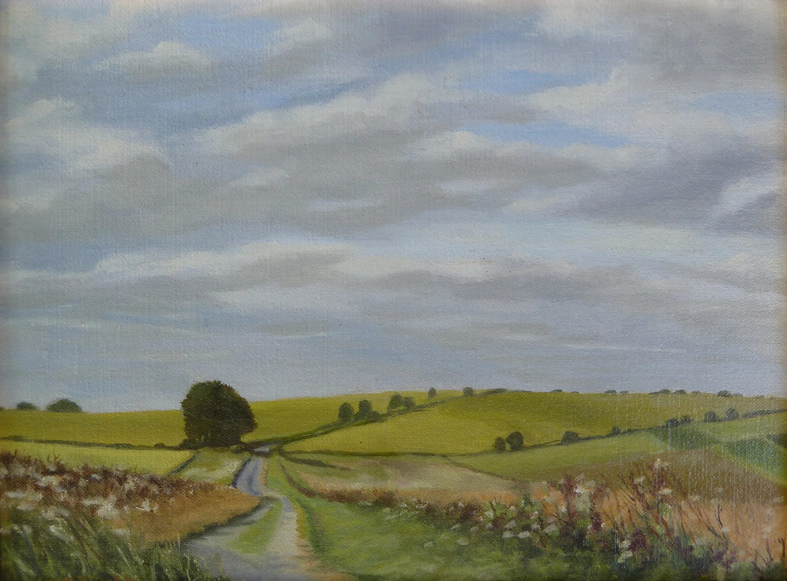 Skylark Country, Track in Sutton Veny.jpg
