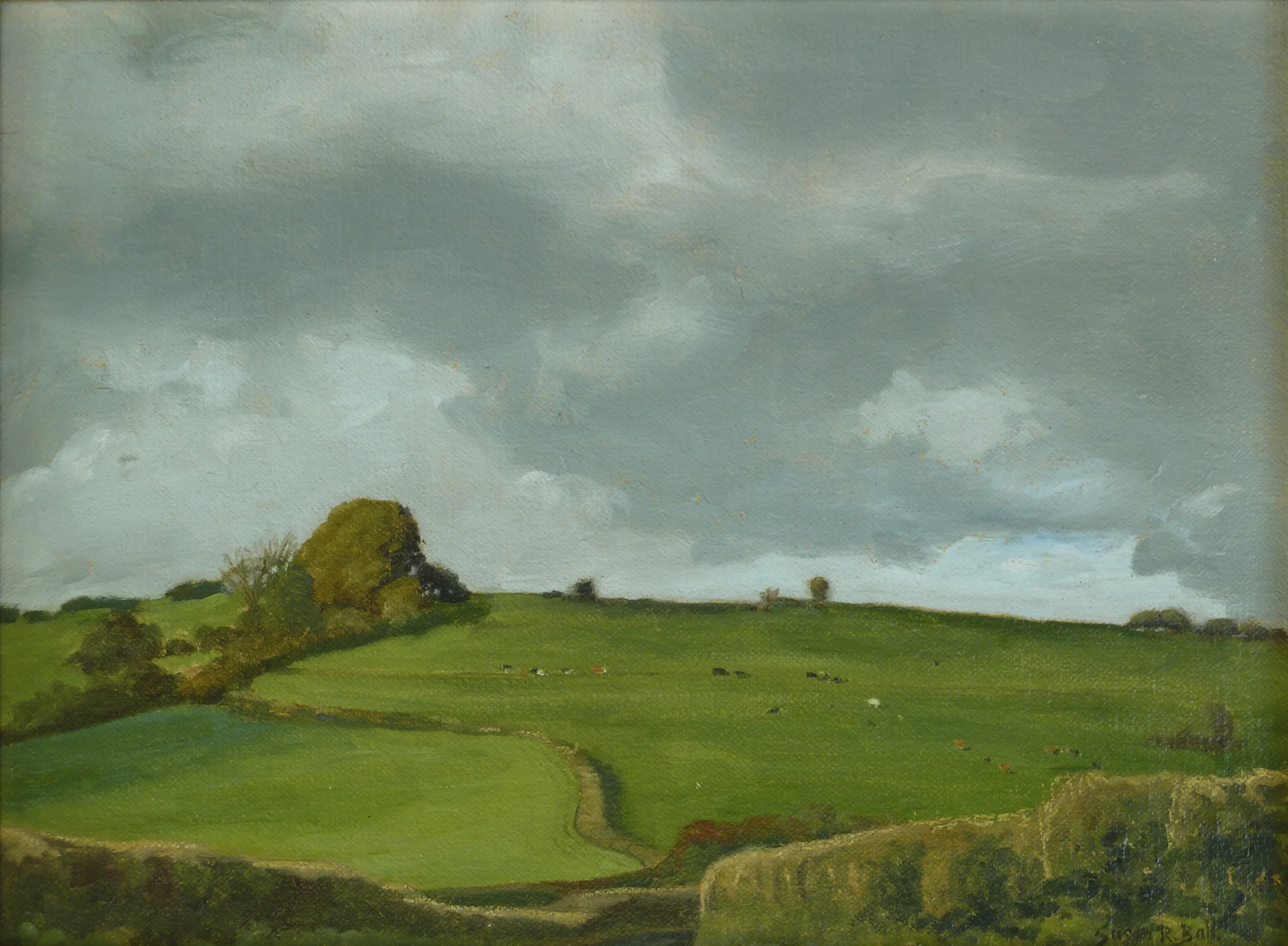 Wiltshire Hillside.jpg