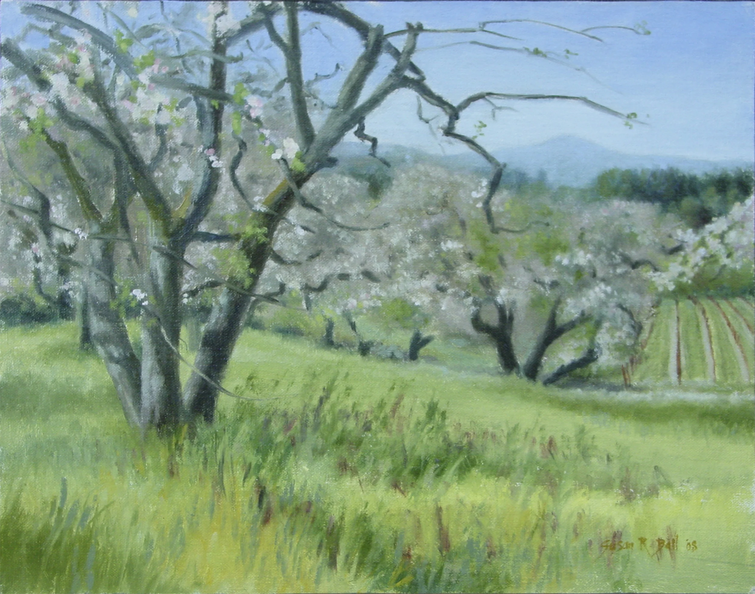 Springtime on Kennedy Road