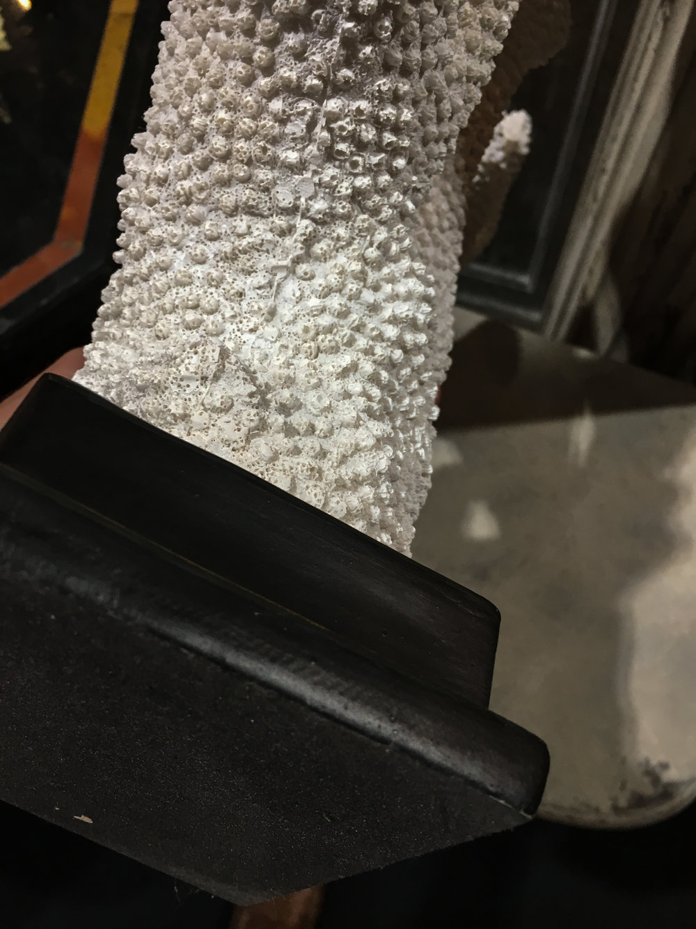 A white faux coral on black plinth