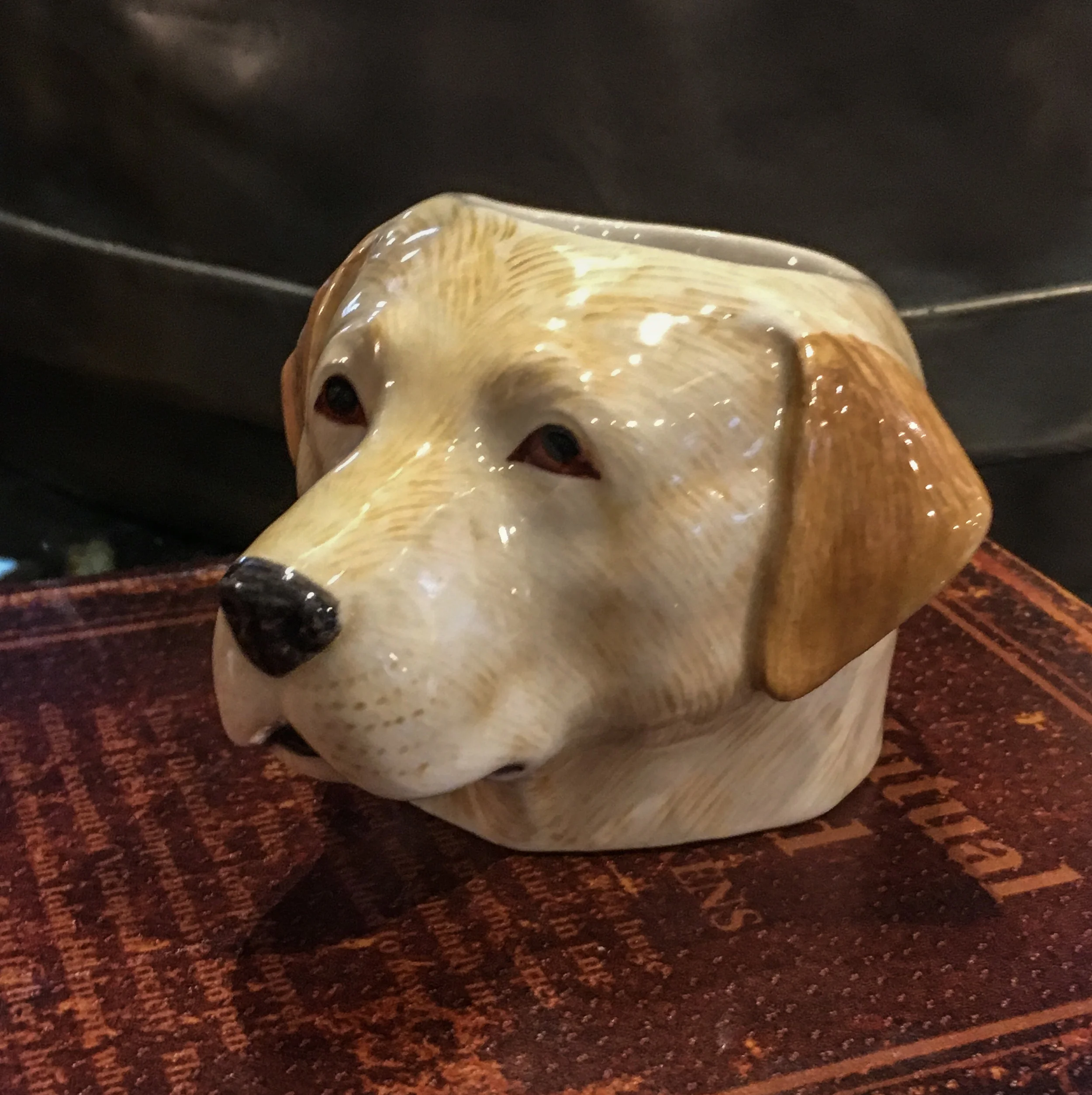 A ceramic labrador dog face egg cup