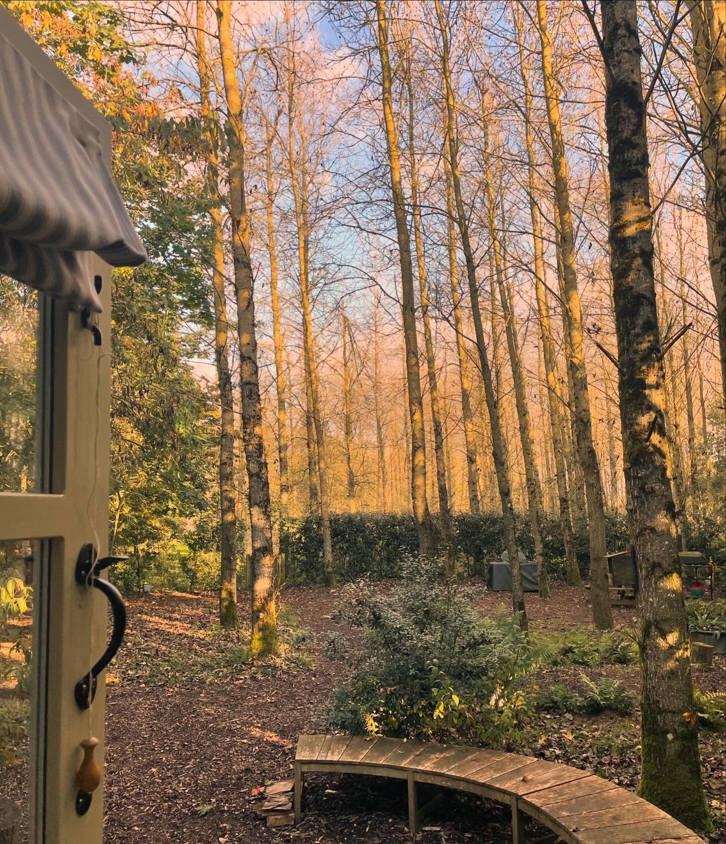 What a treat to indulge my hermit tendencies and abscond to the woods as writer in residence at @studiorichtermahr, a place so peaceful I apparently forgot to take more than two photos. Thank you @yuliamahr @maxrichtermusic and co for having me. I&rs