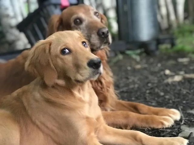 annie and louisa.jpg