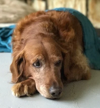 annie on floor to use on brochure.jpg