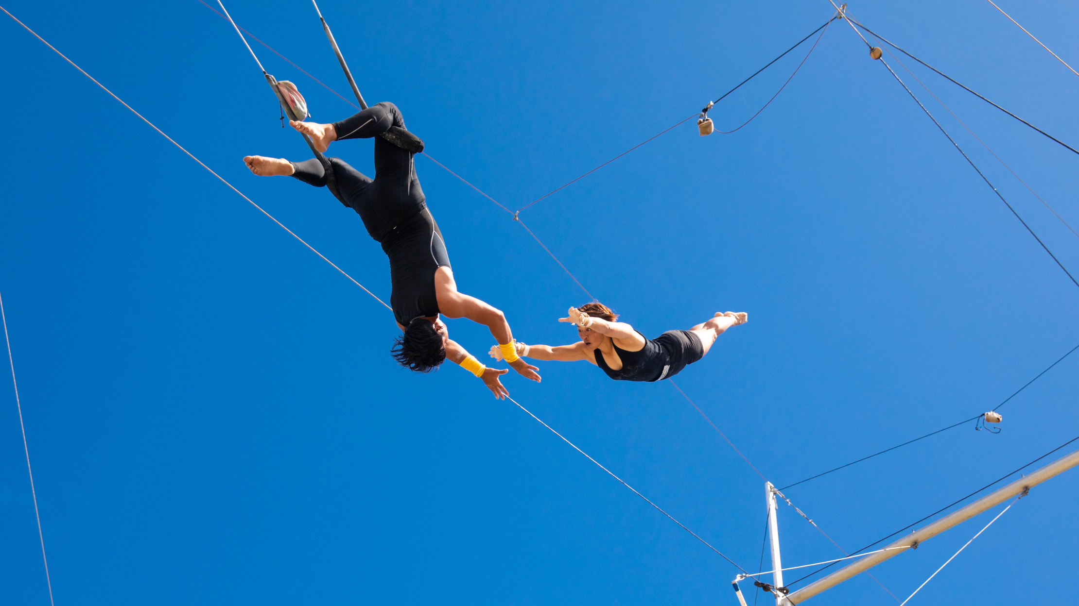 Untitled design-13.png