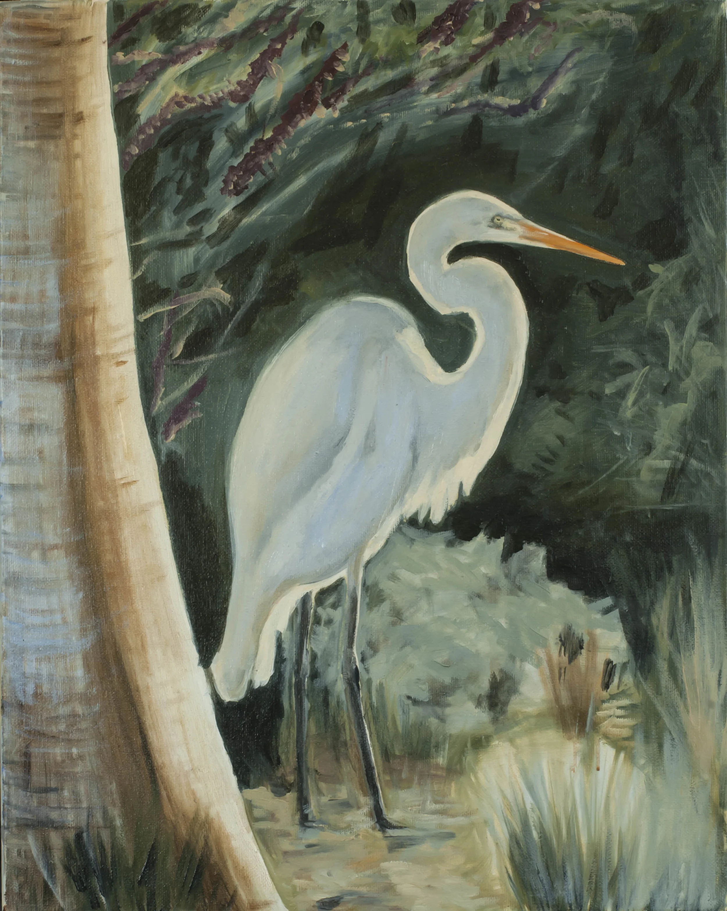 Egret