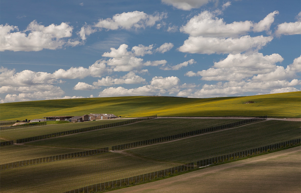 rathfinny-sussex-slide-7-apr.jpg