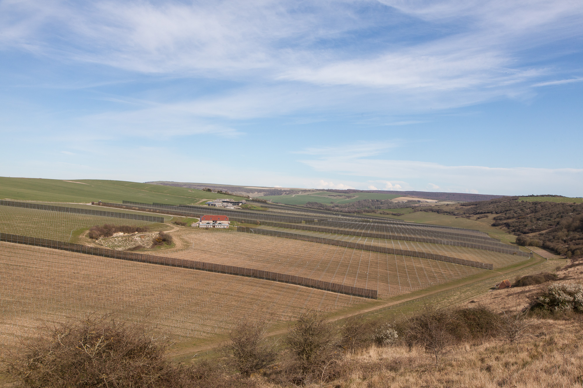 Fields and barns.jpg