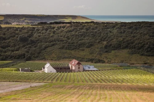 The Flint Barns