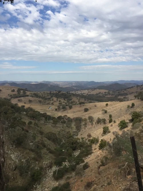 On the road between Sofala & Hill End, about 4 hours drive west of Sydney.