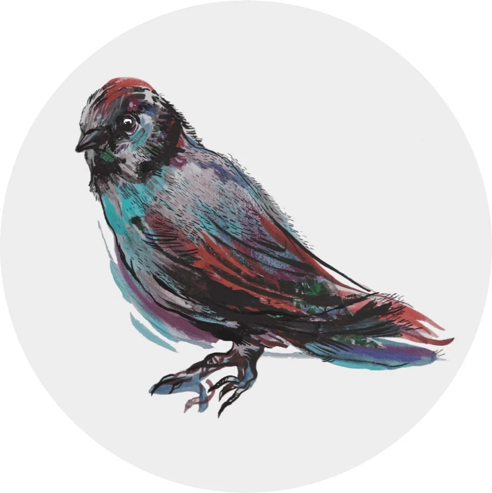 Nov 23 - How Agents and Writers Work Together 