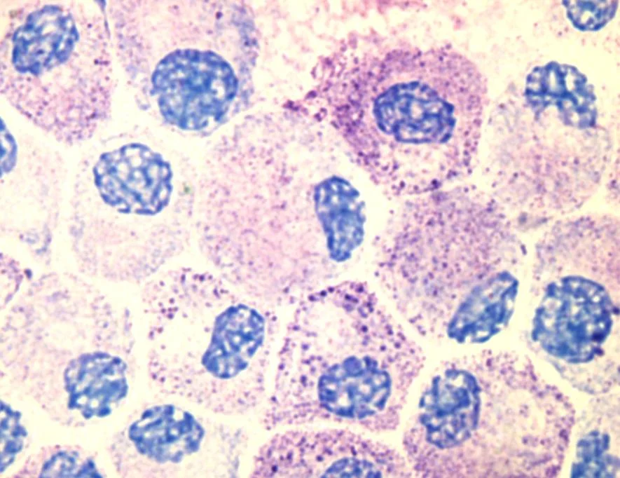They were here before we had an immune system.