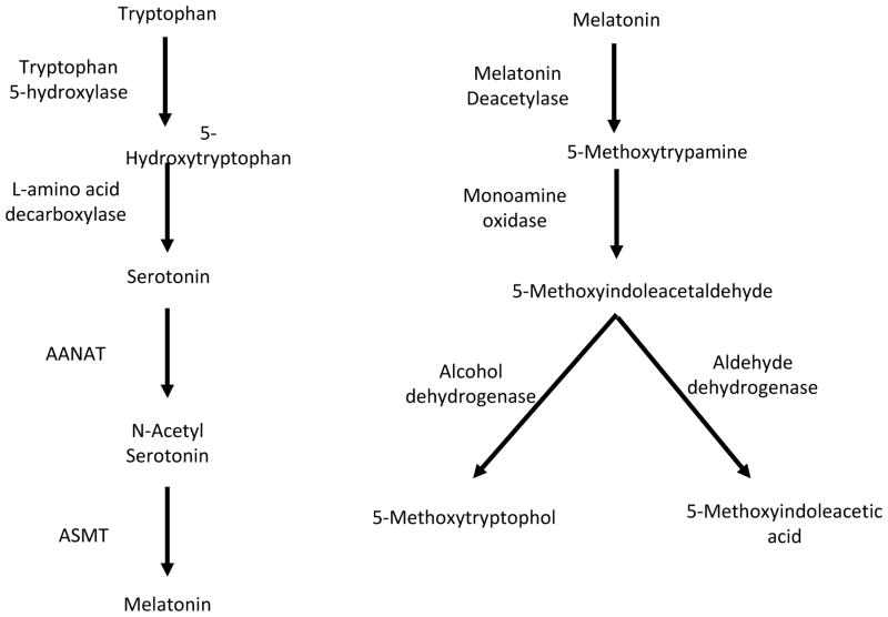 https://www.ncbi.nlm.nih.gov/pmc/articles/PMC3462291/