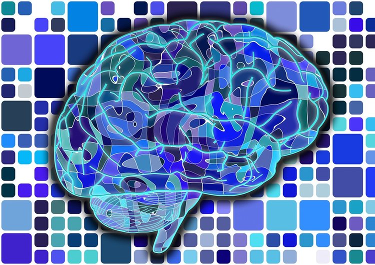 brain-951845_960_720.jpg