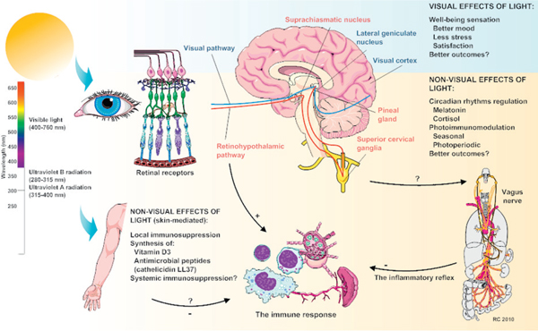https://www.ncbi.nlm.nih.gov/pmc/articles/PMC3219304/