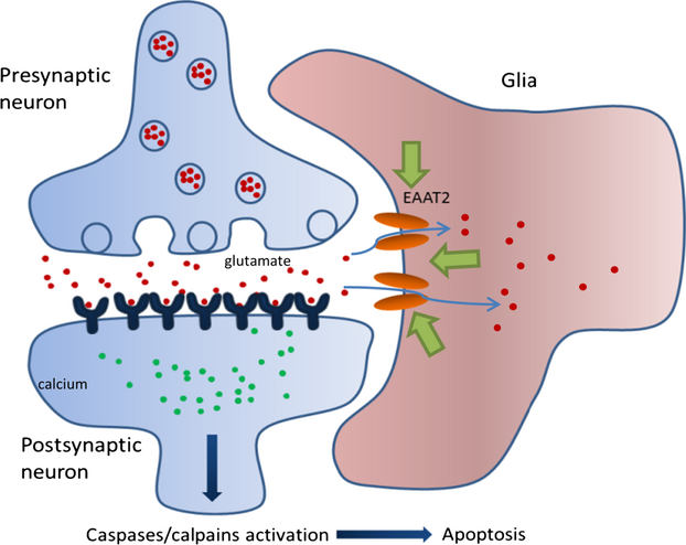 Root Causes Of Postural Orthostatic Tachycardia Syndrome (POTS