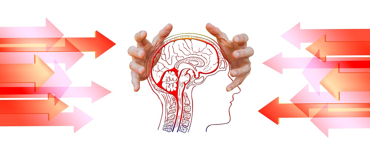mybiohack j147 brain.jpg