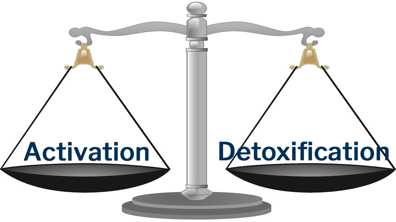Activation And Detoxification 101 — MyBioHack | Unlock Your Genetics