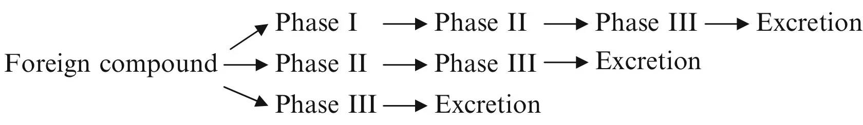 phase i ii iii order.jpg