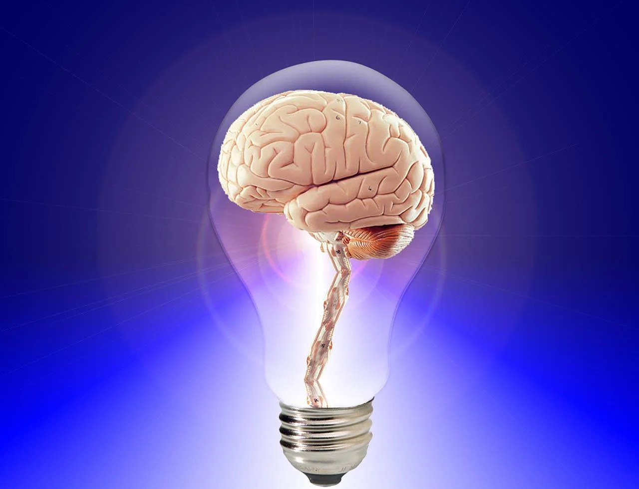 brain light.jpg