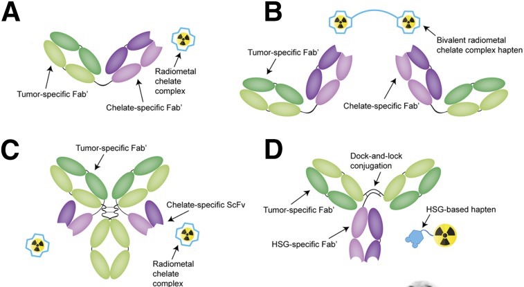 haptens a root cause of food intolerance chemical hapten