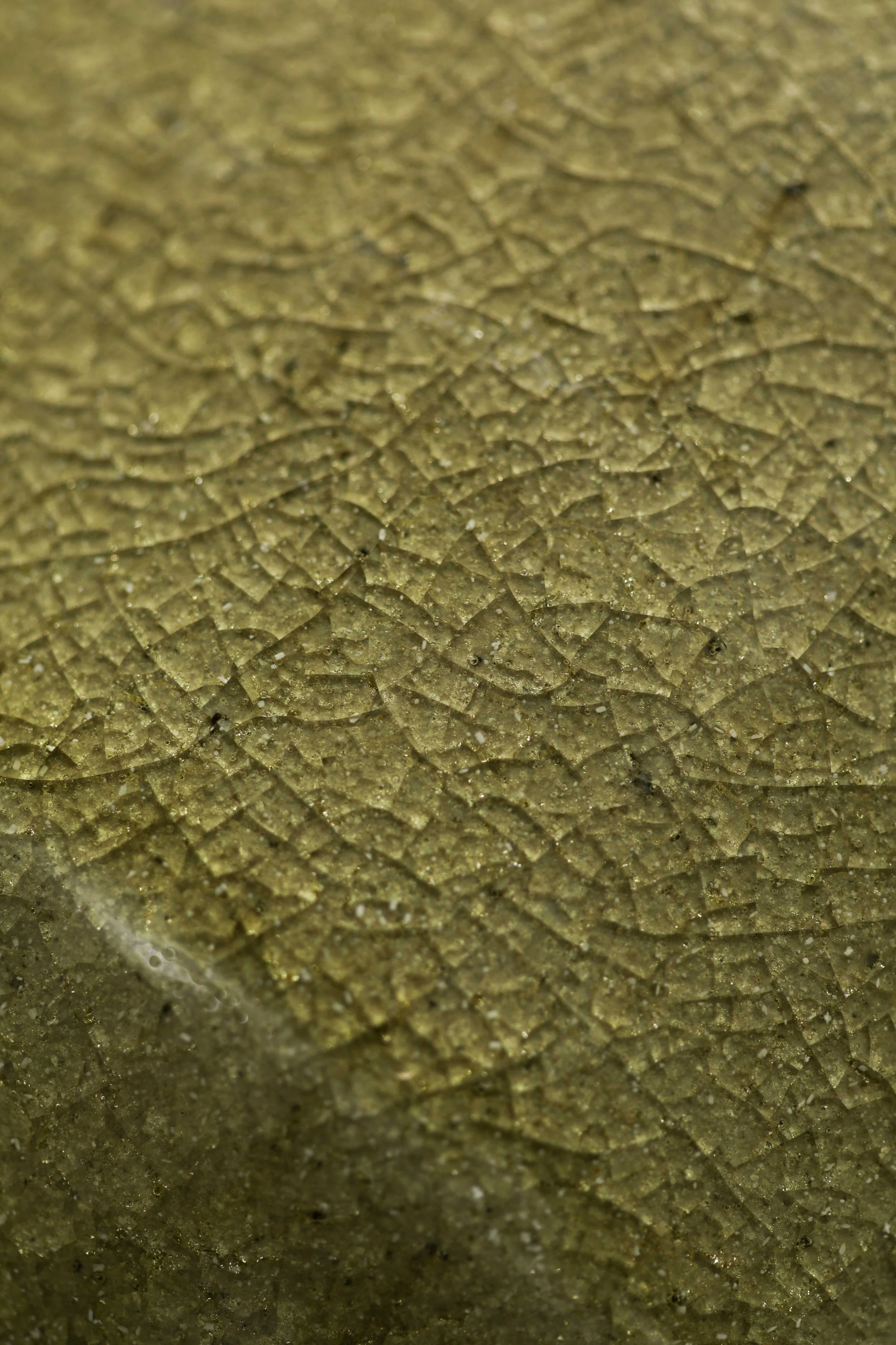 0O1A8790.jpg