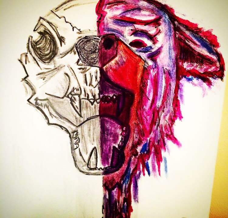 image.jpeg