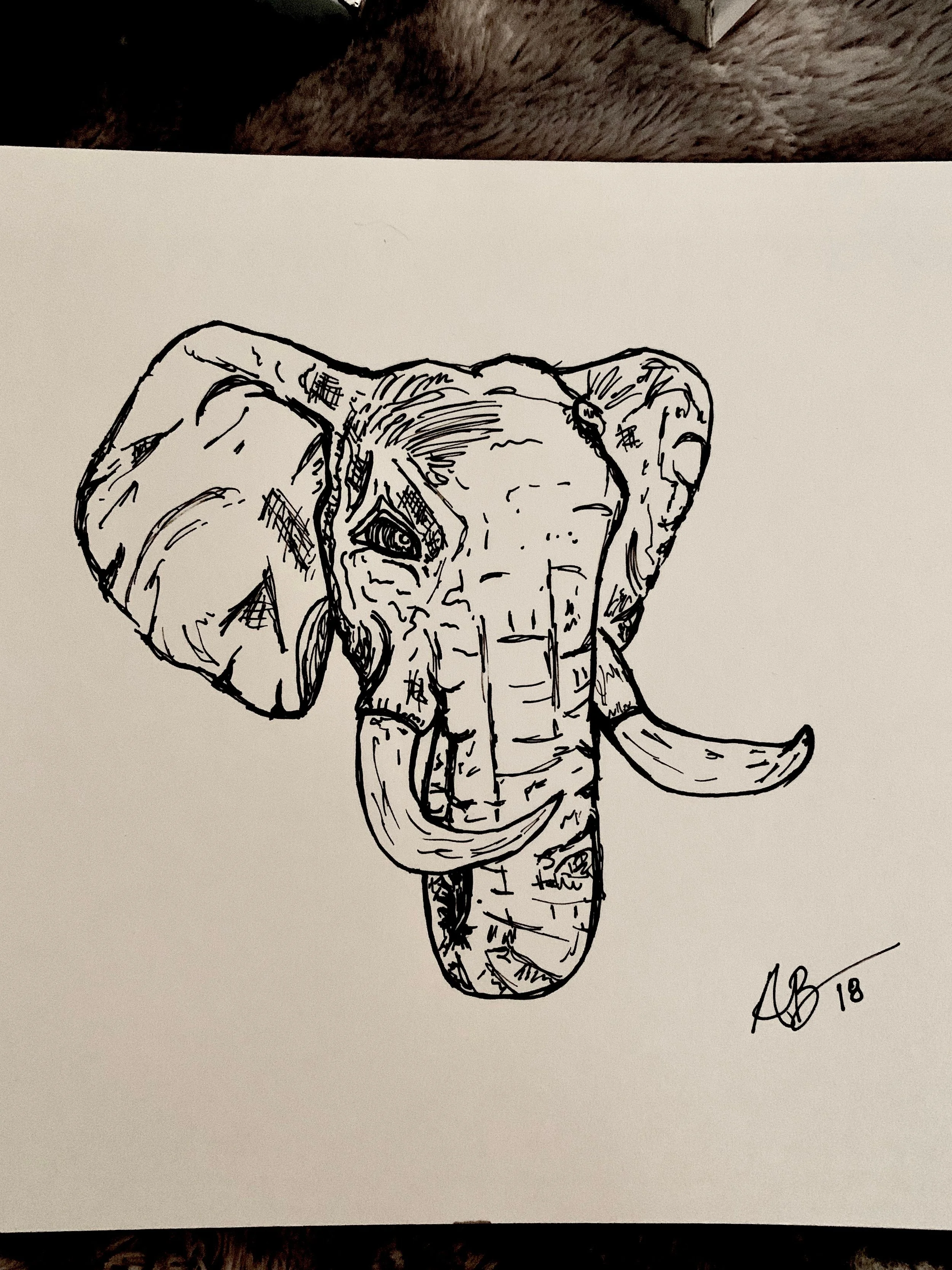 Protect our Elephants