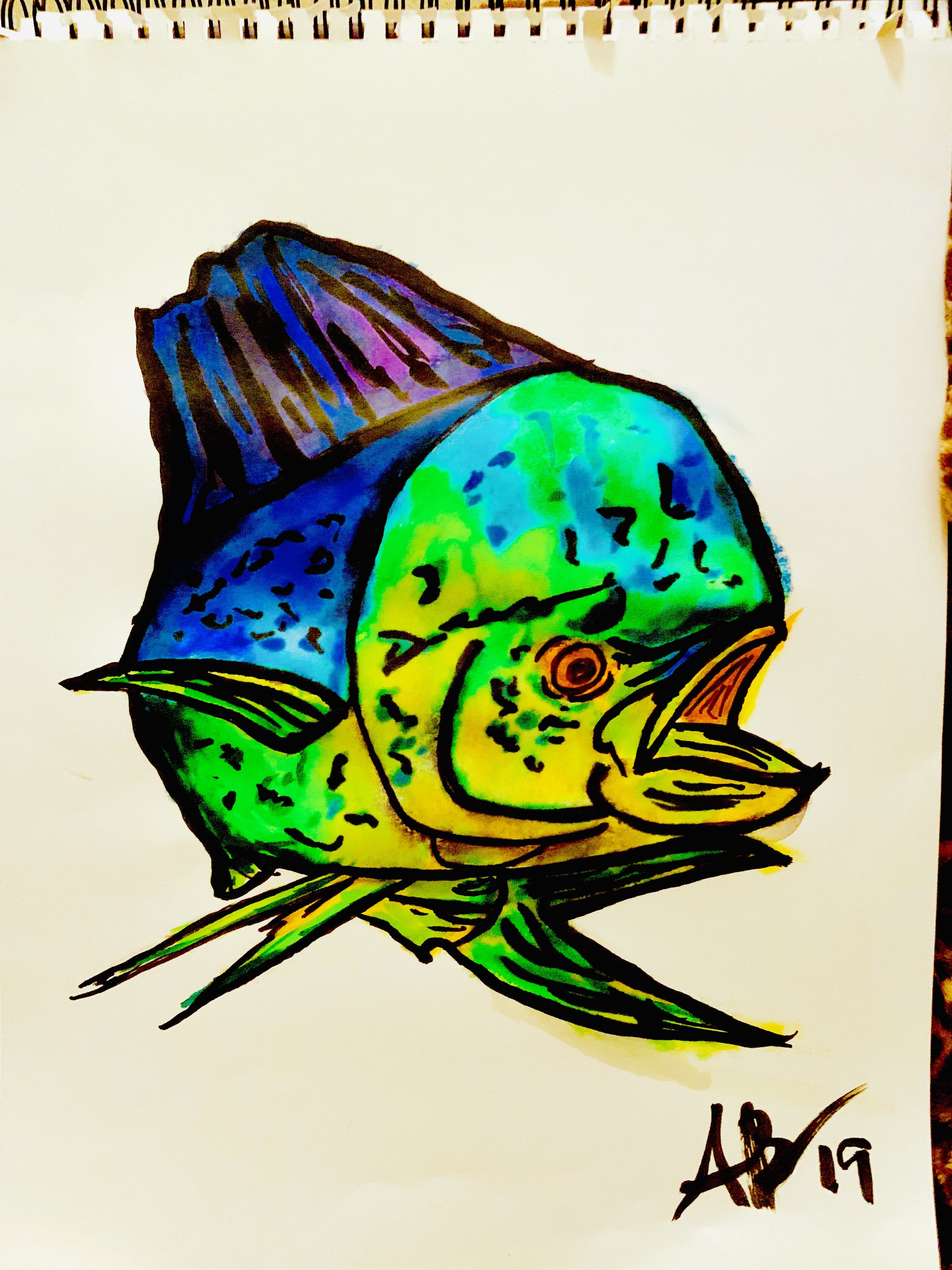 Mahi Mahi (Dolphin)