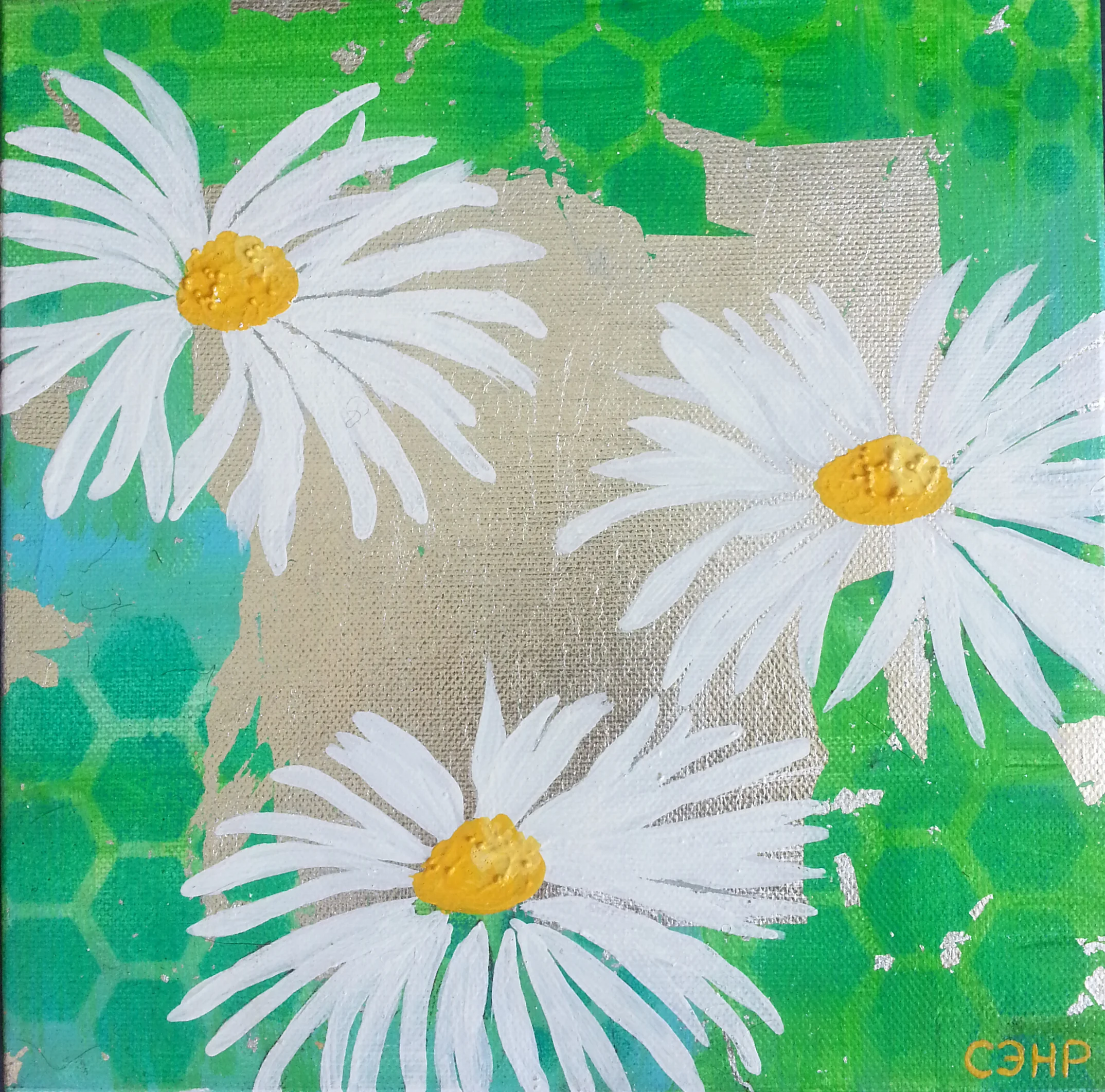 Daisies.jpg