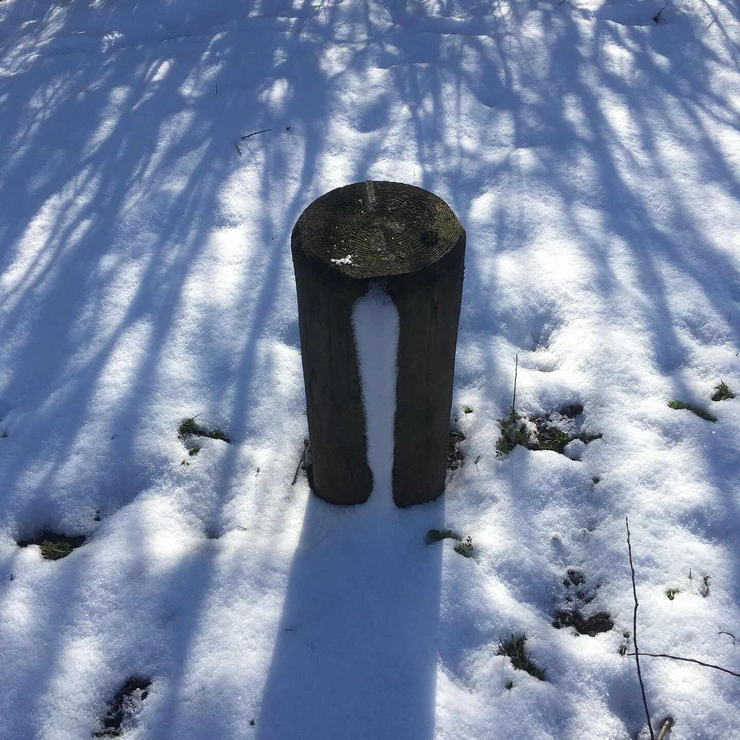 Snow compass #naturalnavigation