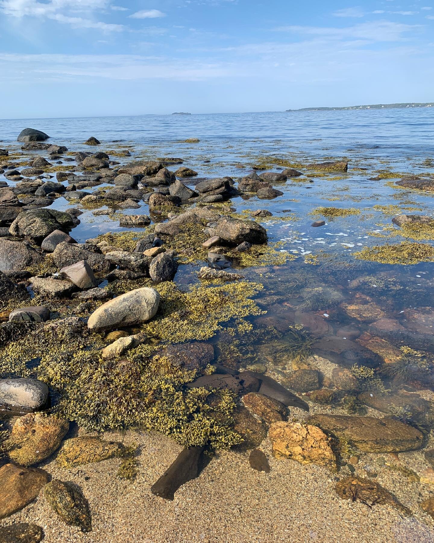 Maine photo dump: rocks, rocks and more rocks, ft. photos with Spencer AND by Spencer!