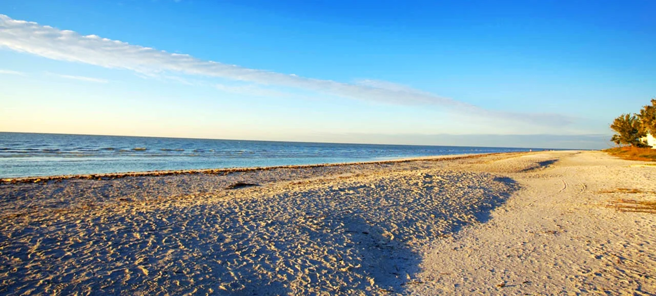 Explore Sanibel — Kings Crown Condo Association