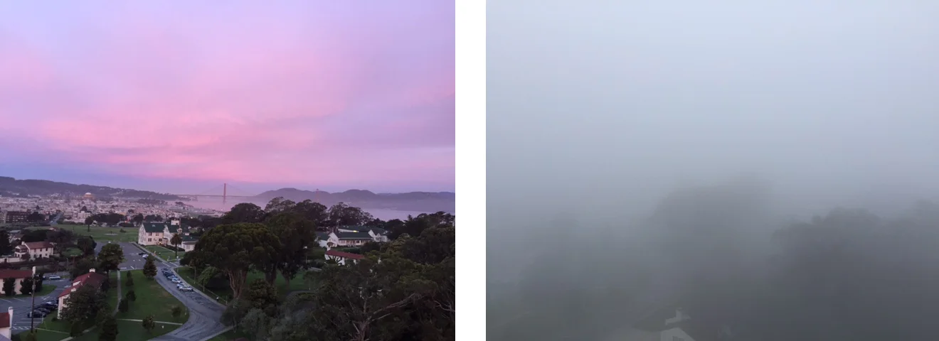 diptych.jpg