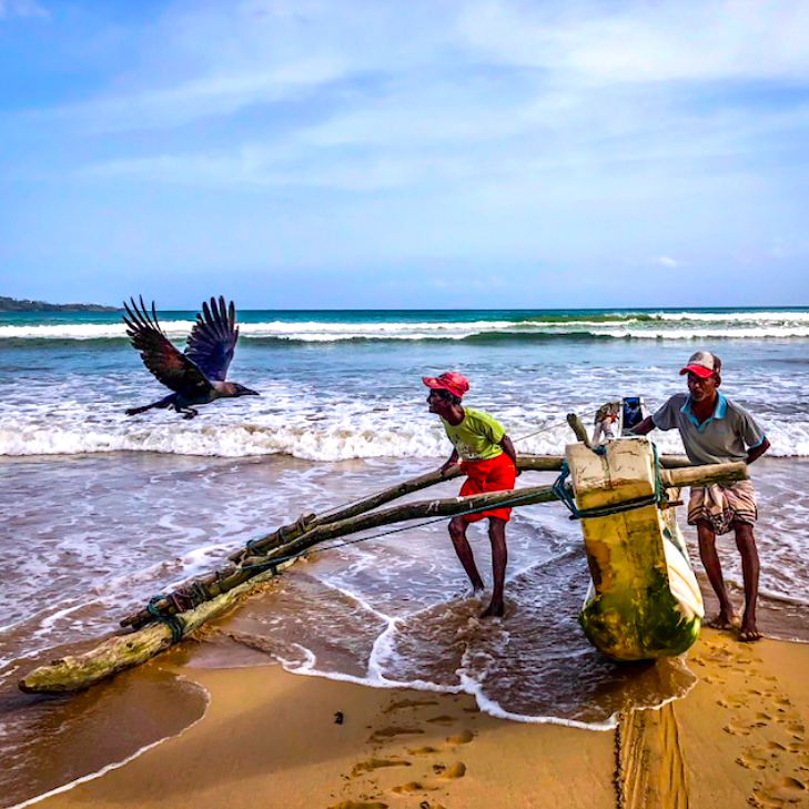 bird.fishermen.png