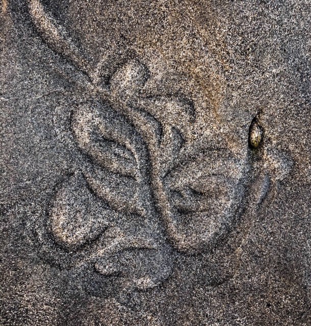 Self-portrait of Ganesha