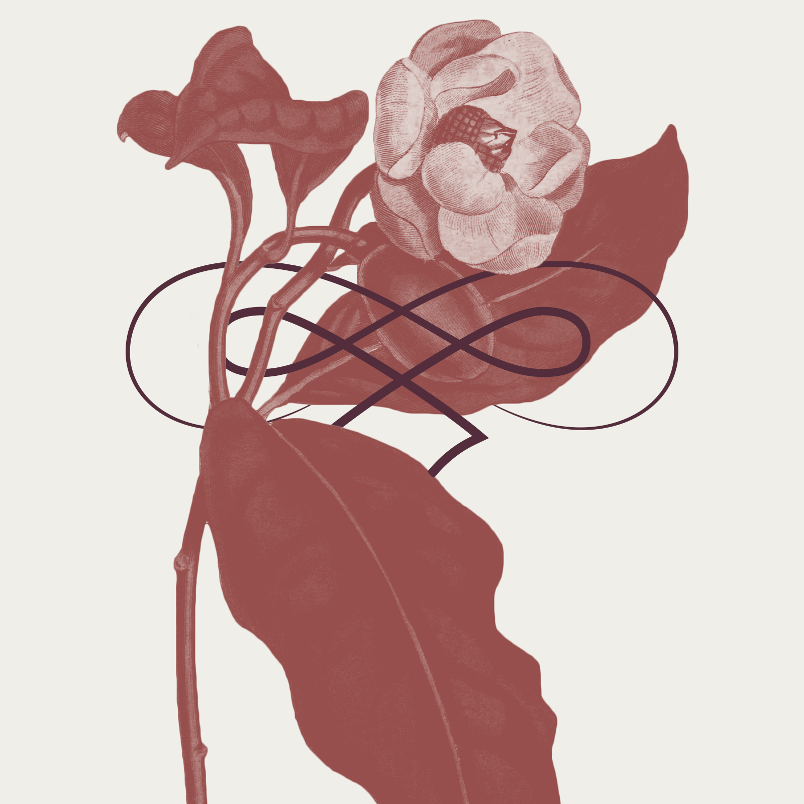 Tusca Filler1.png