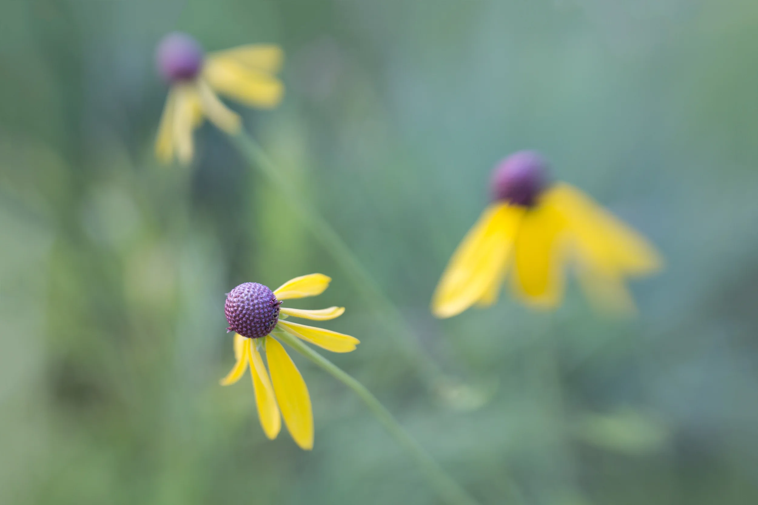 _L6A8032-Edit-2-Edit.jpg