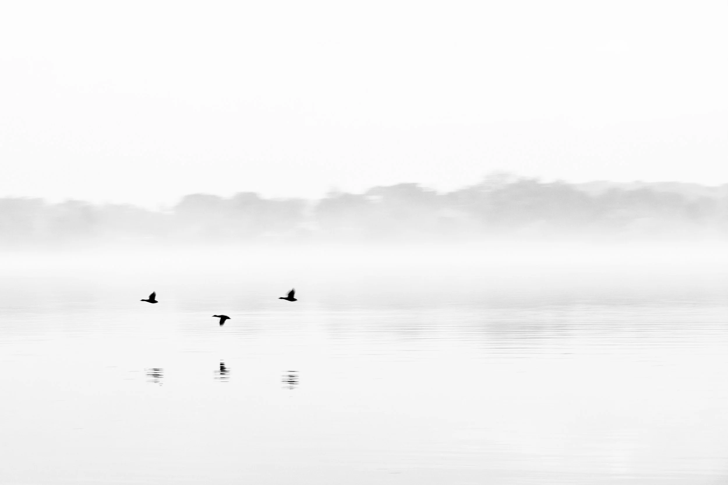 Lake Minnetonka Silhouettes
