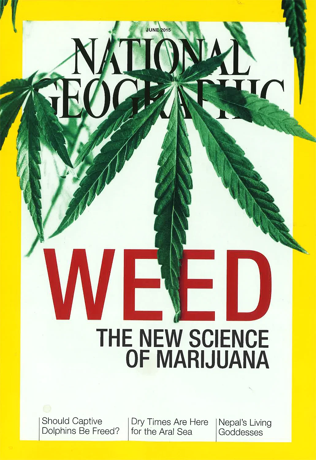 ngm_weed cover.JPG