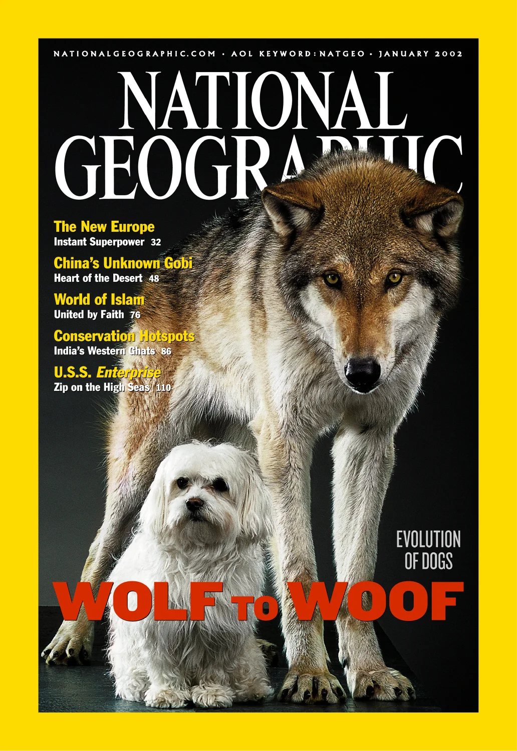 ngm_evo of dogs_jan2002_cover.JPG