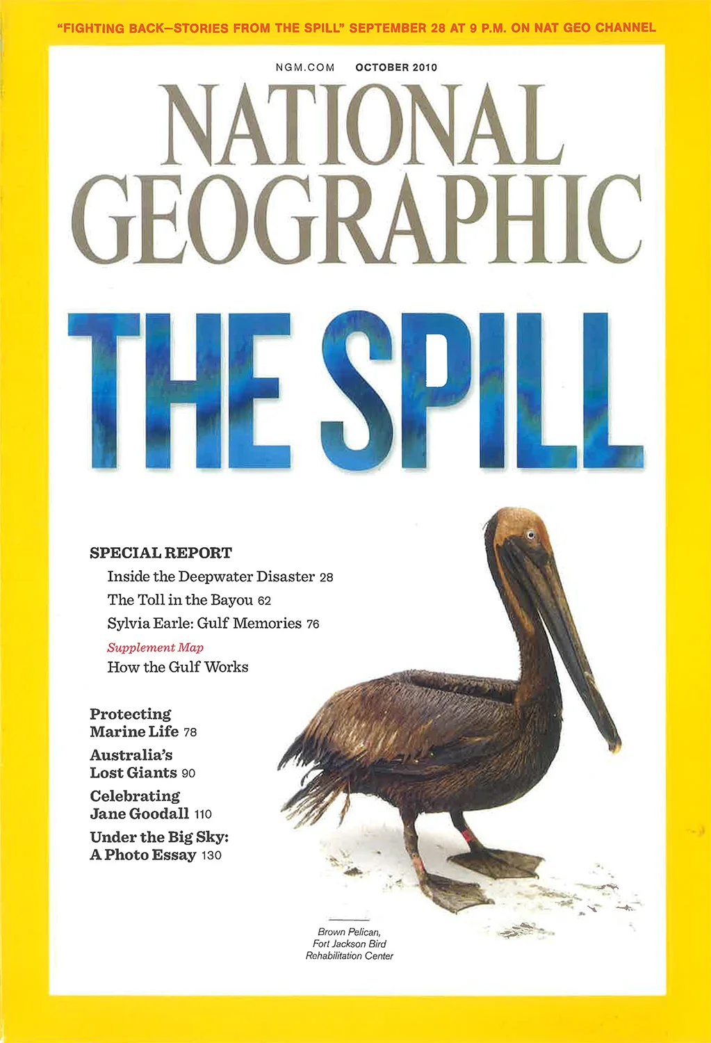 ngm cover_gulf oil_1500.JPG