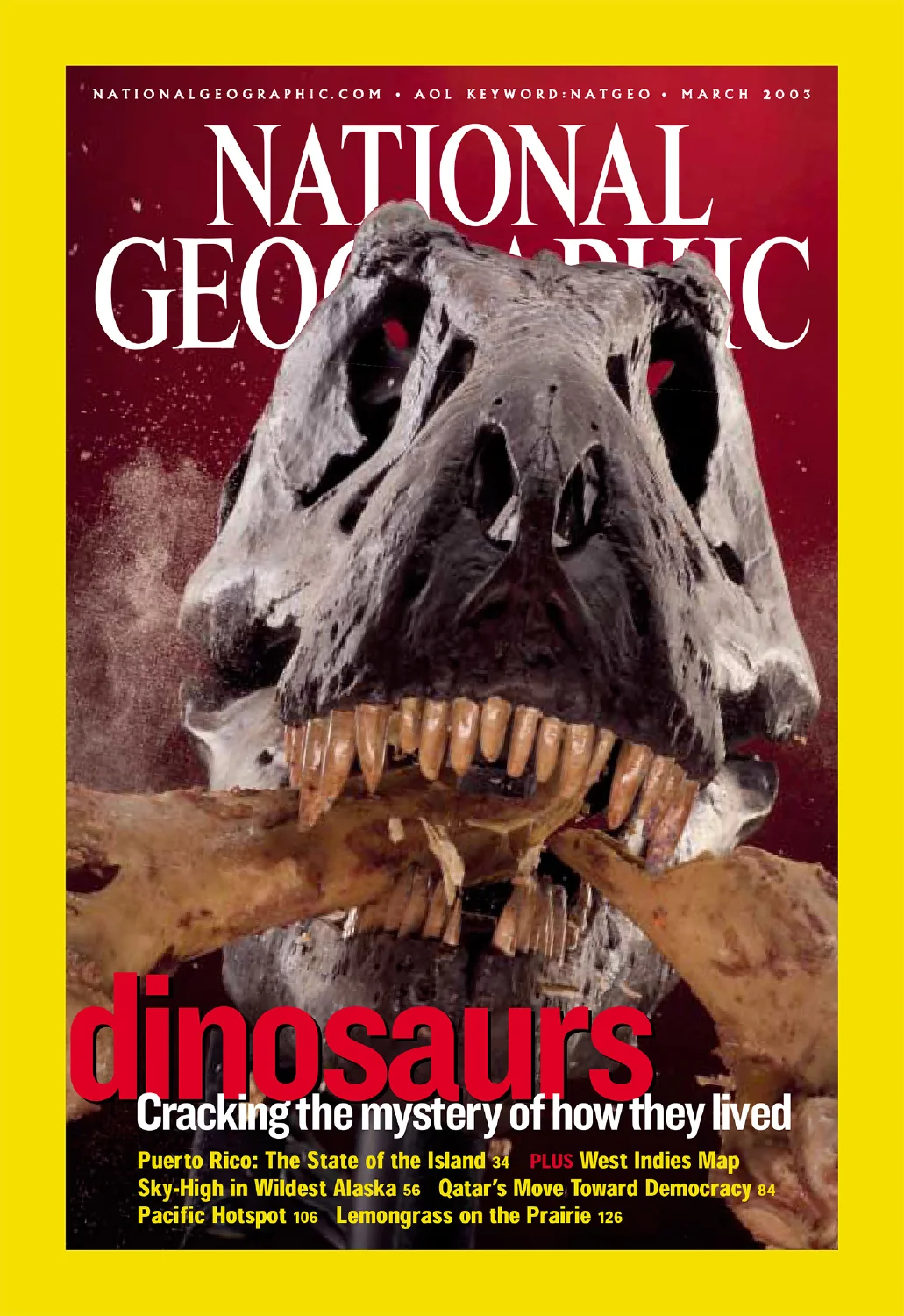 ngm_march _032005_cover.JPG