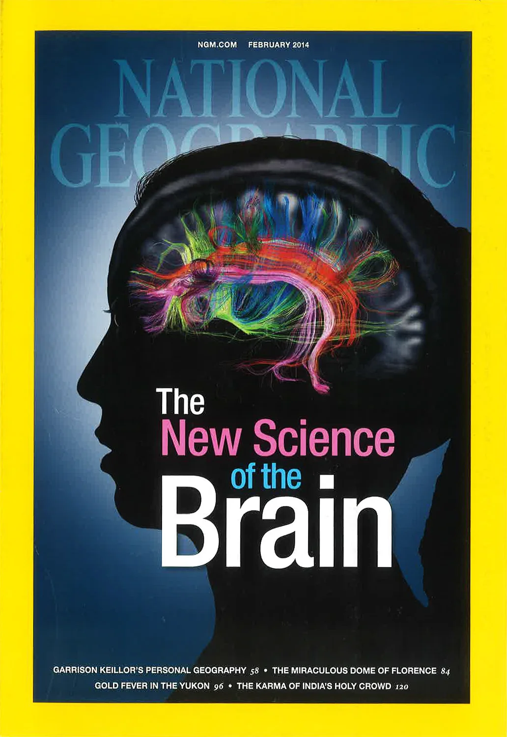 ngm_brain cover.JPG