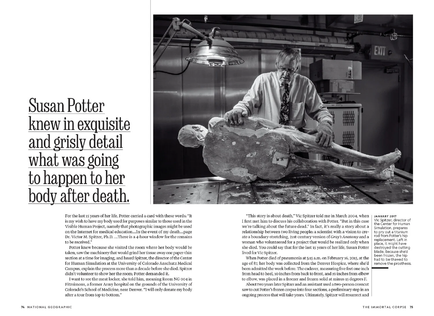 Layout_Visual Human_MM7202 [P];44_SpNB-4.JPG