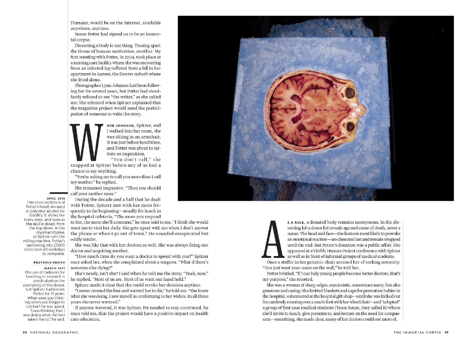 Layout_Visual Human_MM7202 [P];44_SpNB-12.JPG