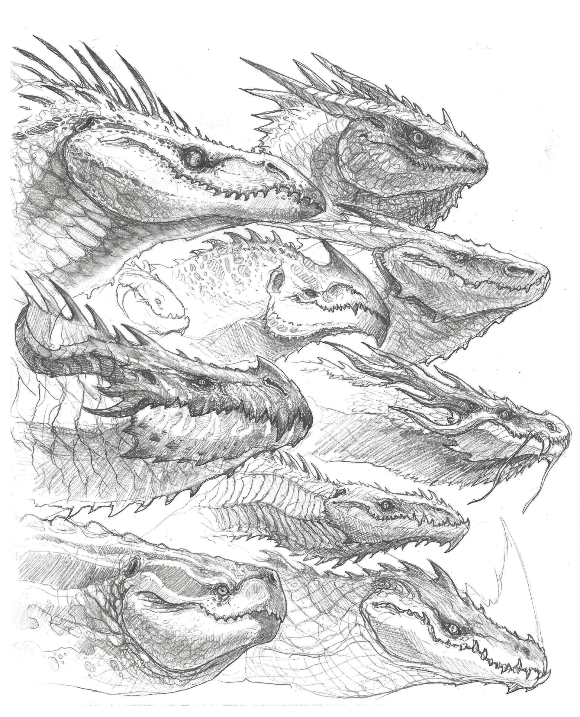 john-tedrick-sketch-4.jpg